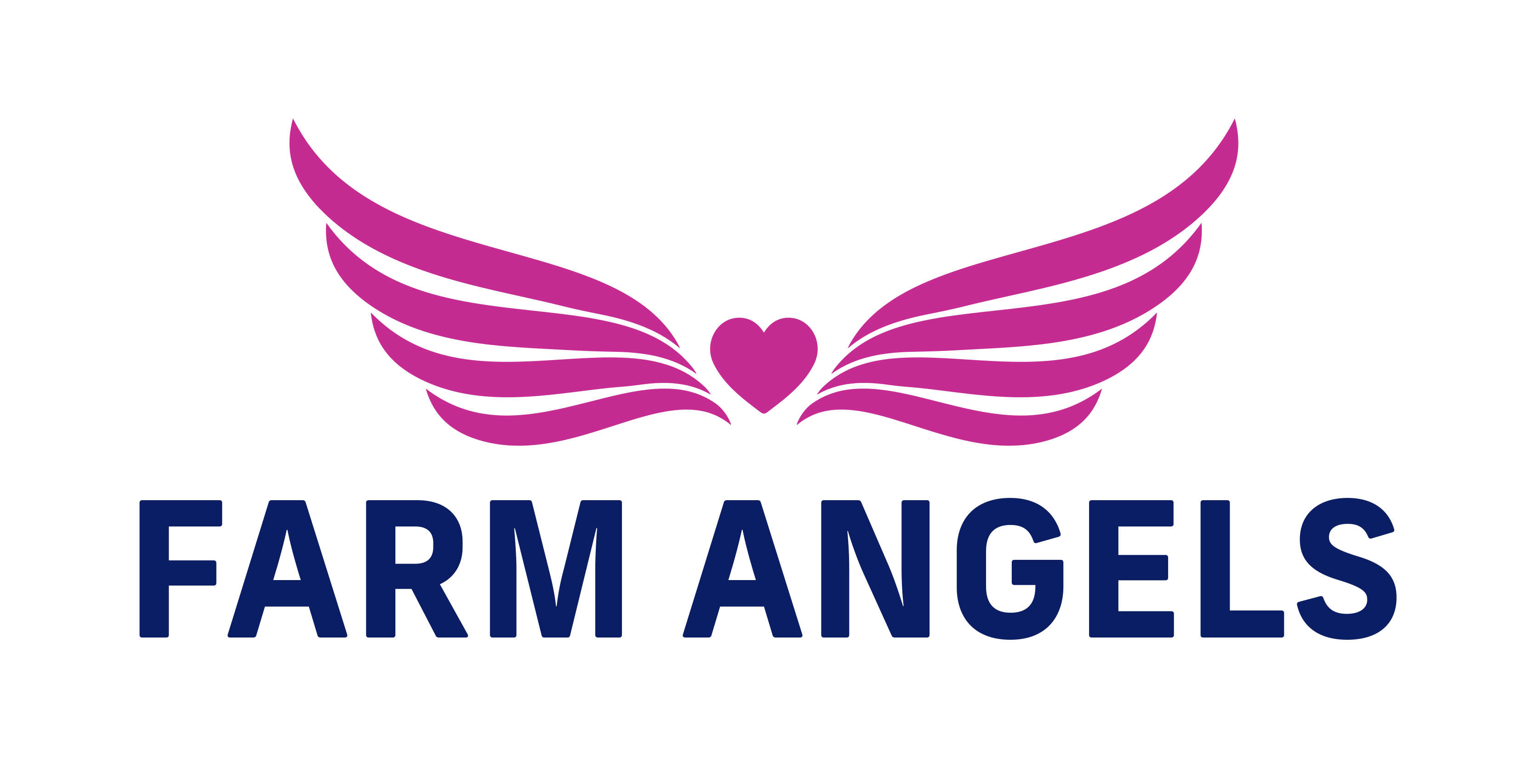 Farm Angels Full Logo Positive